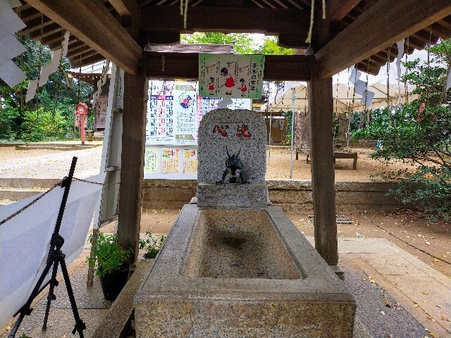 f:id:bluemoonbell:20220120105514j:image
