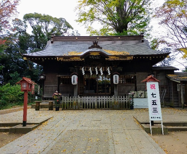 f:id:bluemoonbell:20220120105522j:image