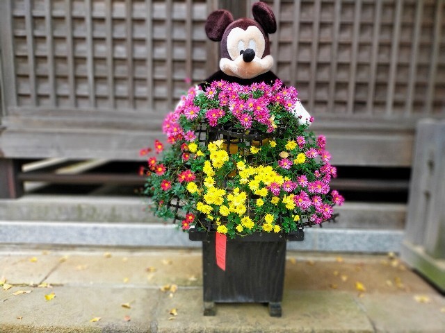 f:id:bluemoonbell:20220120105840j:image