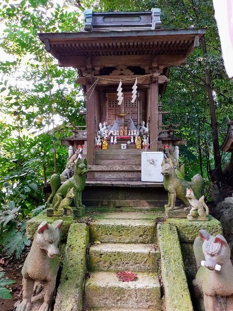 f:id:bluemoonbell:20220120110224j:image