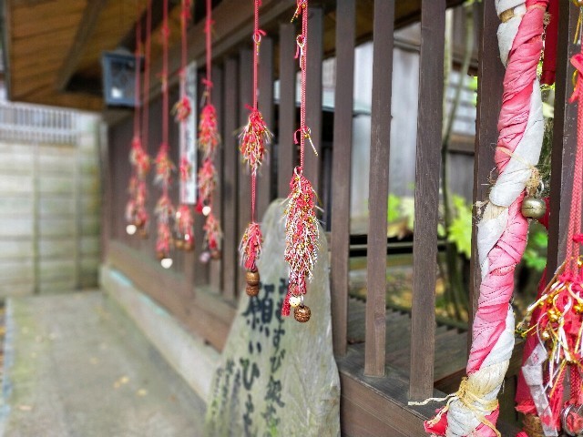f:id:bluemoonbell:20220120110248j:image