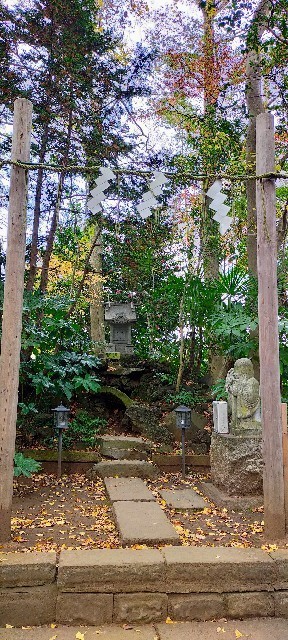 f:id:bluemoonbell:20220120110257j:image