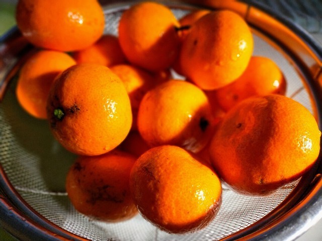 f:id:bluemoonbell:20220201155139j:image