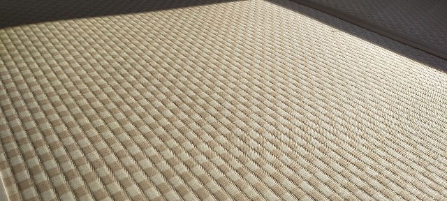 f:id:bluemoonbell:20220218153252j:image