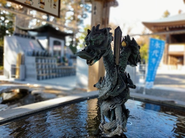 f:id:bluemoonbell:20220304105453j:image