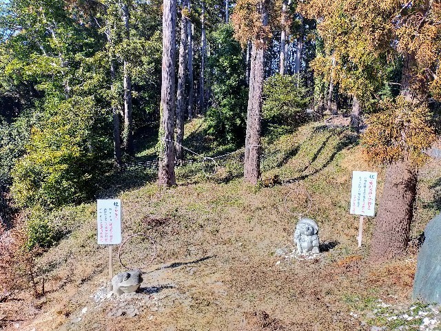 f:id:bluemoonbell:20220304110627j:image