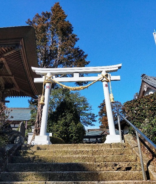 f:id:bluemoonbell:20220306111951j:image f:id:bluemoonbell:20220306111951j:image