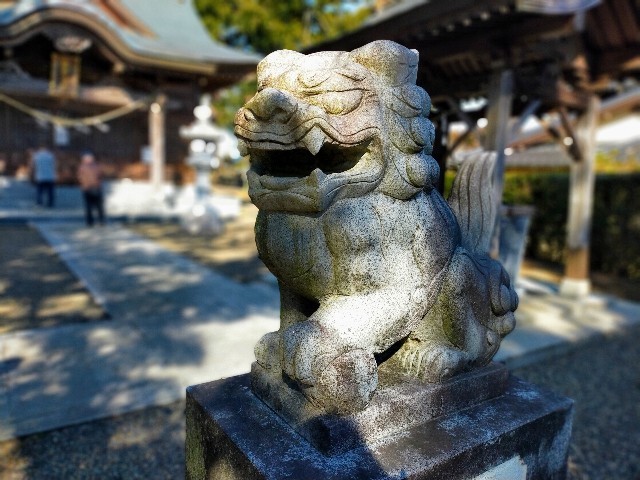 f:id:bluemoonbell:20220306111959j:image f:id:bluemoonbell:20220306111959j:image