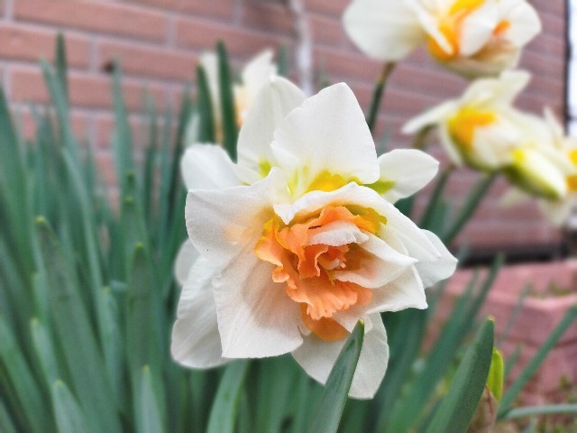 f:id:bluemoonbell:20220408170915j:image