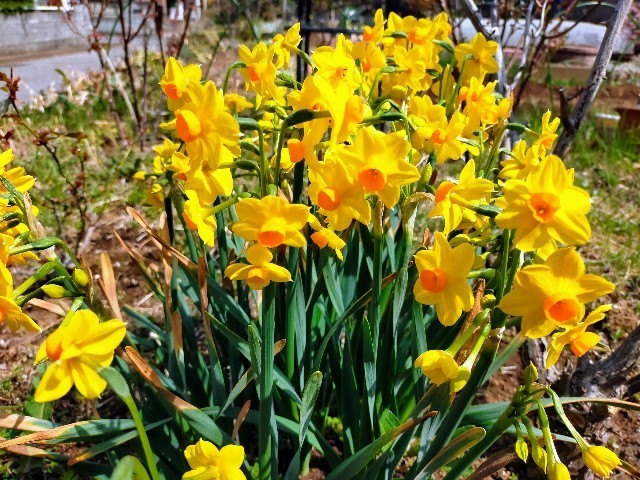 f:id:bluemoonbell:20220408170924j:image