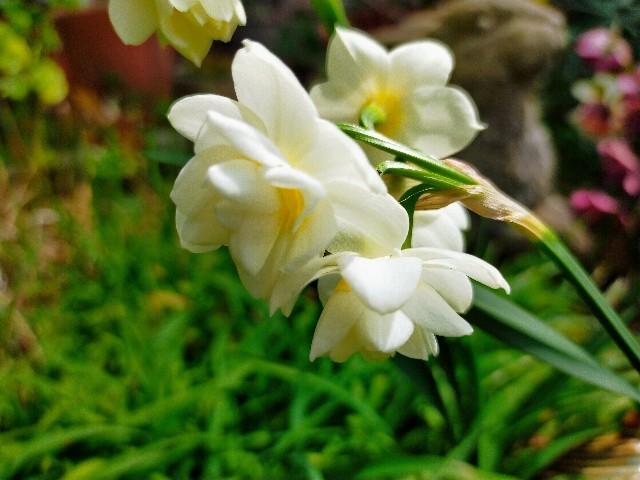 f:id:bluemoonbell:20220408170931j:image