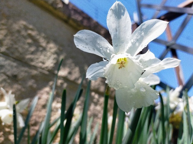 f:id:bluemoonbell:20220408170945j:image