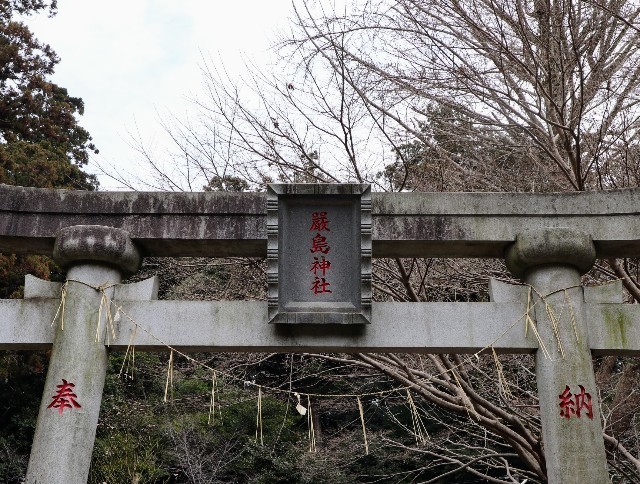 f:id:bluemoonbell:20220409080426j:image