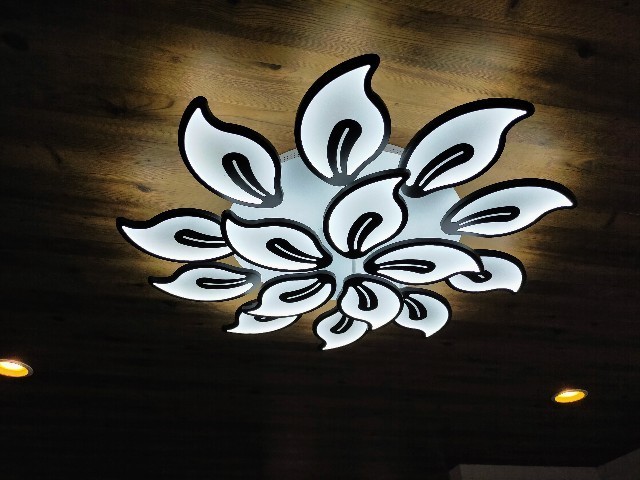f:id:bluemoonbell:20220425215539j:image
