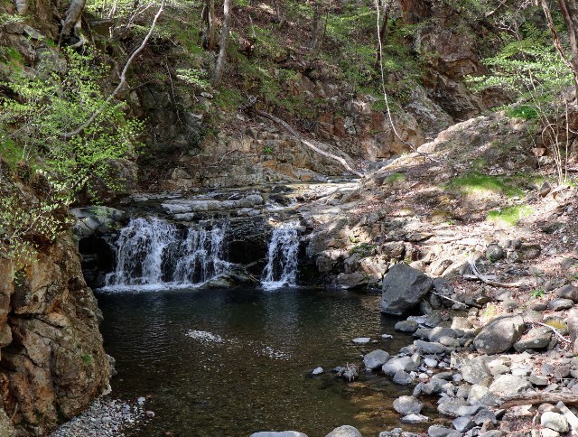 f:id:bluemoonbell:20220522060755j:image