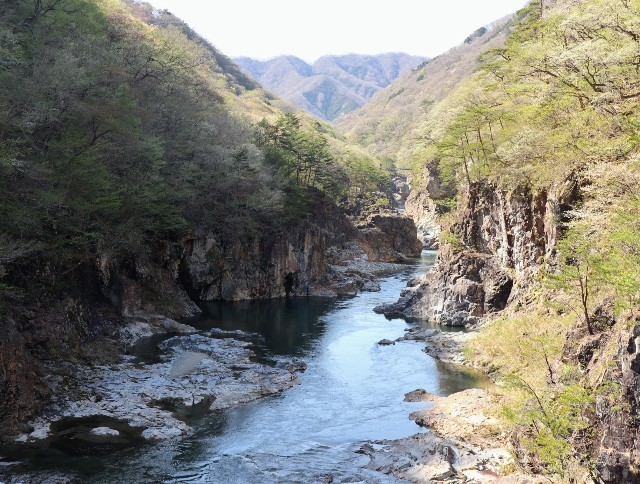 f:id:bluemoonbell:20220522060811j:image