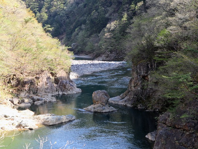 f:id:bluemoonbell:20220522060832j:image