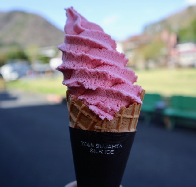 f:id:bluemoonbell:20220522060852j:image