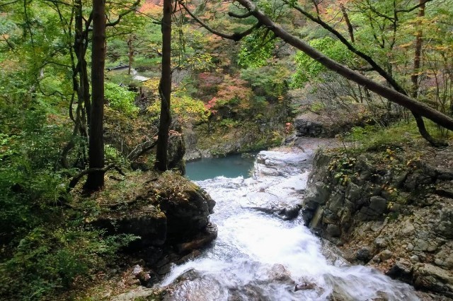 f:id:bluemoonbell:20220522061123j:image