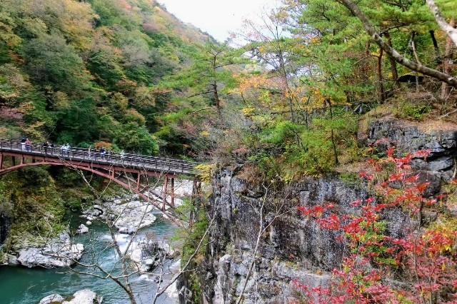 f:id:bluemoonbell:20220522061130j:image