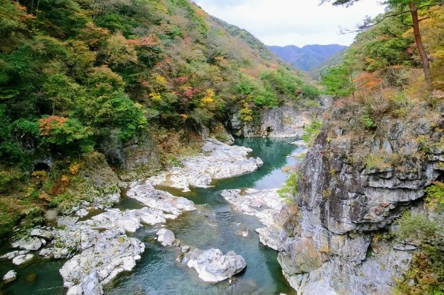 f:id:bluemoonbell:20220522061137j:image