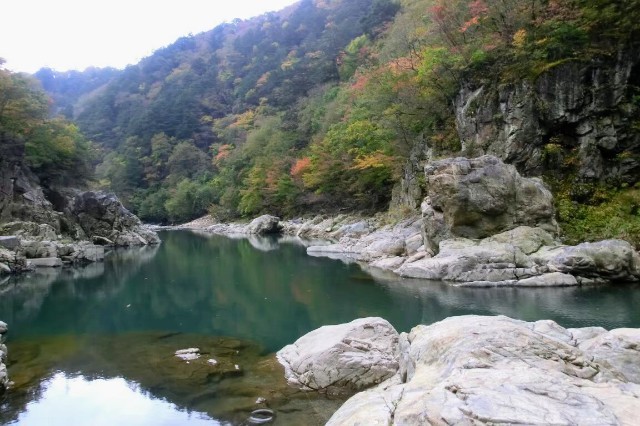 f:id:bluemoonbell:20220522061144j:image