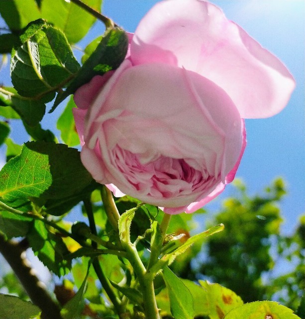 f:id:bluemoonbell:20220523140748j:image