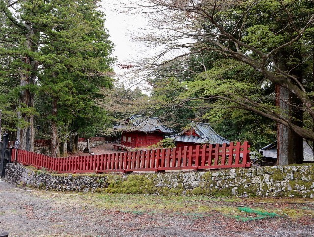 f:id:bluemoonbell:20220605205859j:image