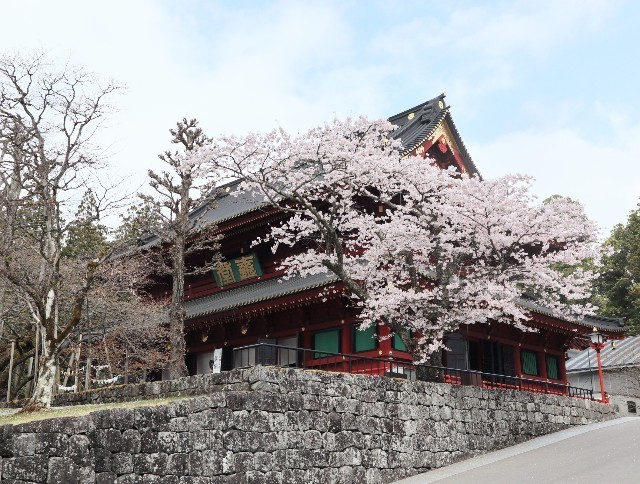 f:id:bluemoonbell:20220605205927j:image