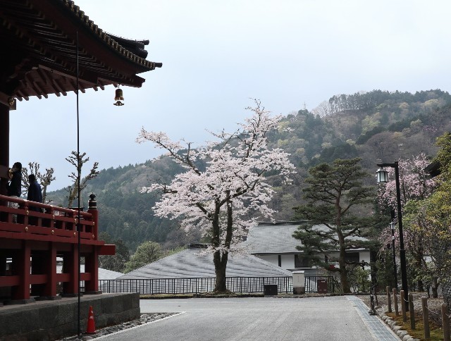 f:id:bluemoonbell:20220605210133j:image