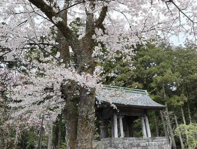 f:id:bluemoonbell:20220605210153j:image