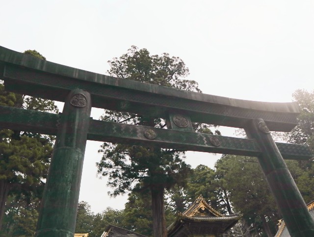 f:id:bluemoonbell:20220606072307j:image