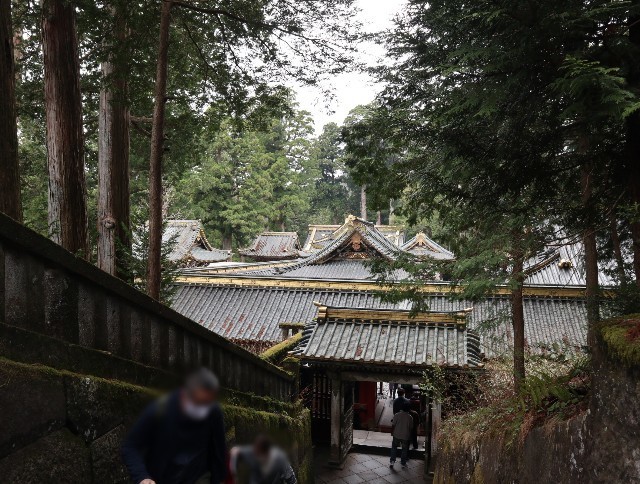 f:id:bluemoonbell:20220606073948j:image