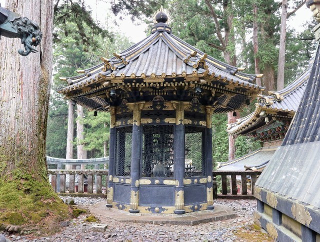 f:id:bluemoonbell:20220606074251j:image