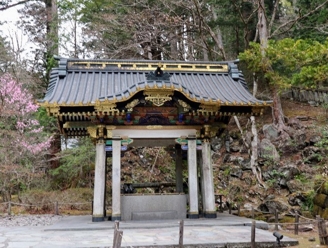 f:id:bluemoonbell:20220620081150j:image