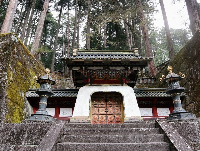 f:id:bluemoonbell:20220620081713j:image