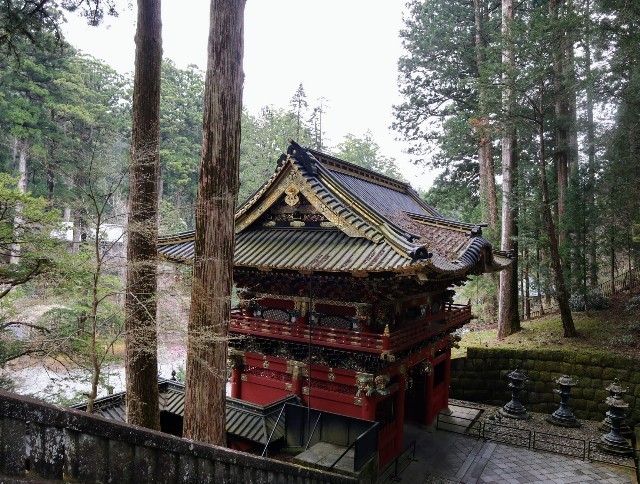 f:id:bluemoonbell:20220620081720j:image