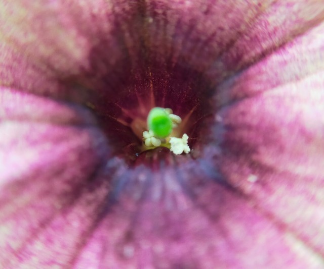 f:id:bluemoonbell:20220627103117j:image f:id:bluemoonbell:20220627103117j:image