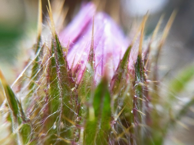 f:id:bluemoonbell:20220627103128j:image f:id:bluemoonbell:20220627103128j:image