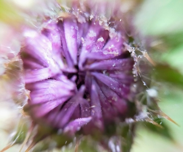 f:id:bluemoonbell:20220627103135j:image f:id:bluemoonbell:20220627103135j:image