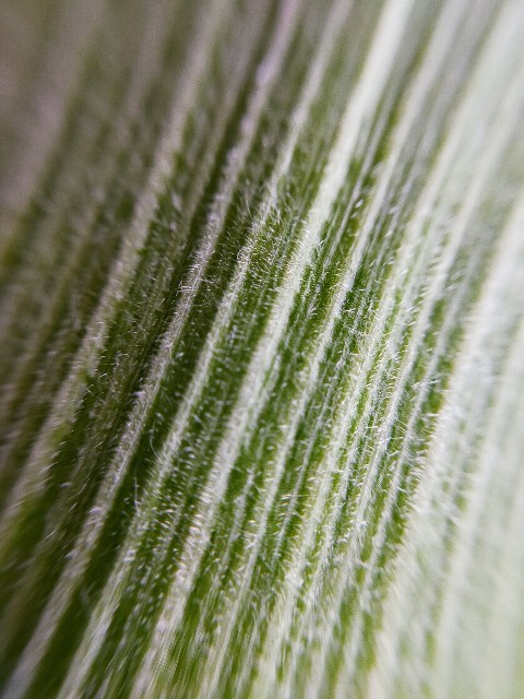 f:id:bluemoonbell:20220627103351j:image f:id:bluemoonbell:20220627103351j:image