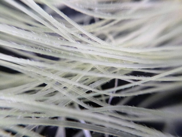 f:id:bluemoonbell:20220627103357j:image f:id:bluemoonbell:20220627103357j:image