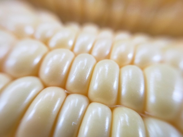 f:id:bluemoonbell:20220627103405j:image f:id:bluemoonbell:20220627103405j:image