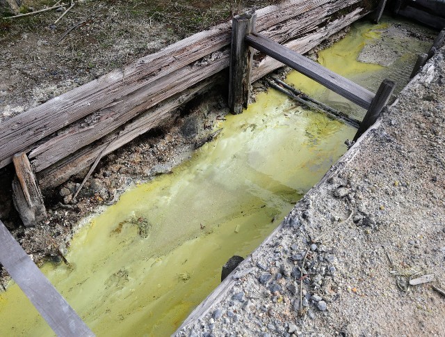 f:id:bluemoonbell:20220704184347j:image f:id:bluemoonbell:20220704184347j:image