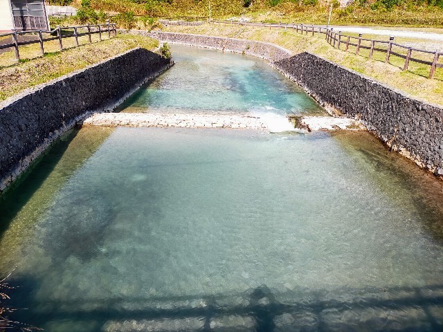 f:id:bluemoonbell:20220705071618j:image f:id:bluemoonbell:20220705071618j:image