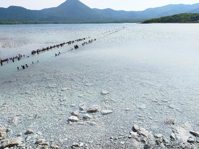 f:id:bluemoonbell:20220705071630j:image f:id:bluemoonbell:20220705071630j:image