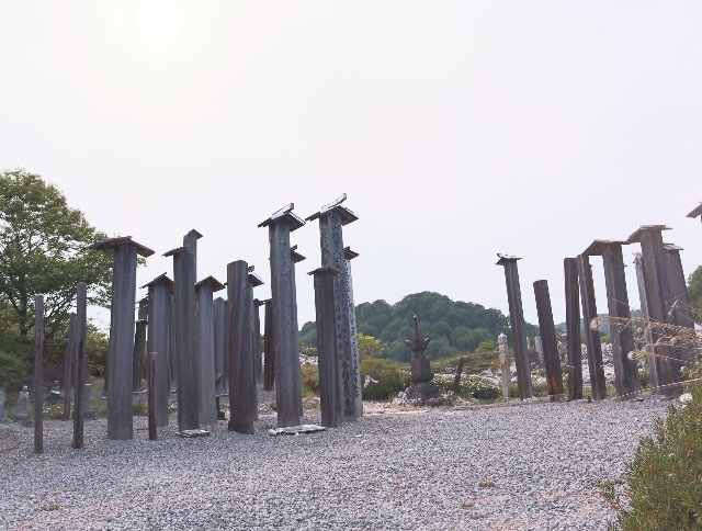 f:id:bluemoonbell:20220705072241j:image f:id:bluemoonbell:20220705072241j:image