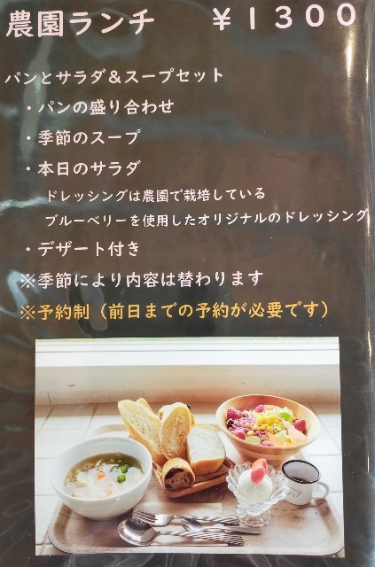 f:id:bluemoonbell:20220711130442j:image