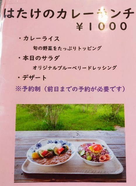 f:id:bluemoonbell:20220711130448j:image