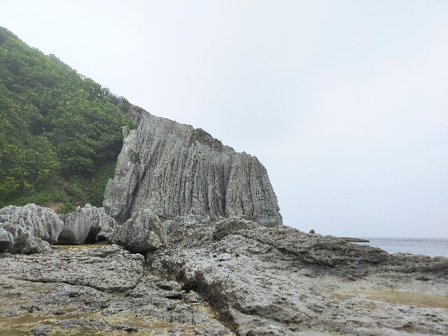 f:id:bluemoonbell:20220722215652j:image